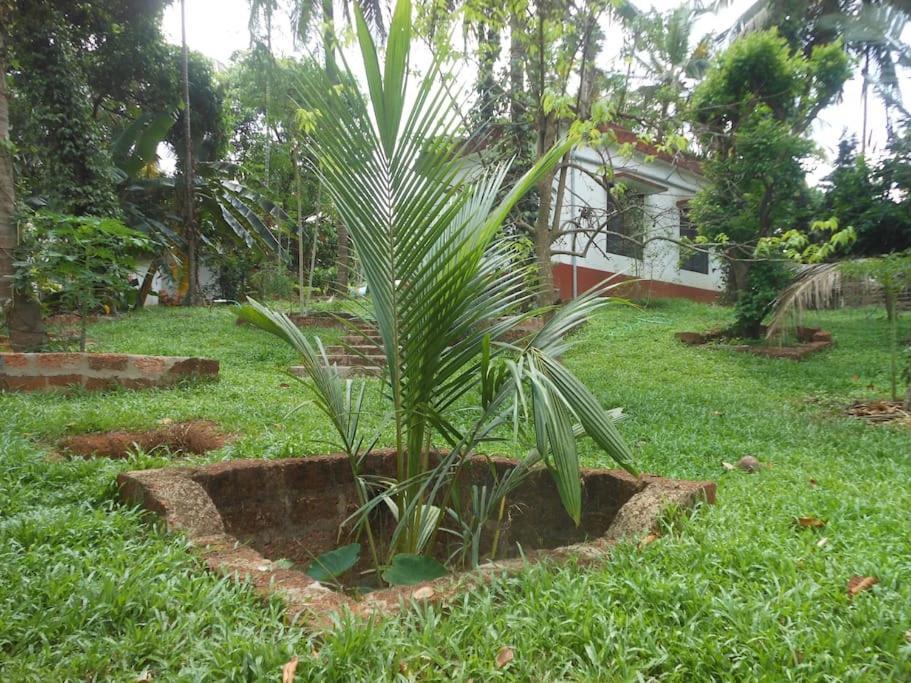 Runnin Airport - Homestay Gurpur Buitenkant foto