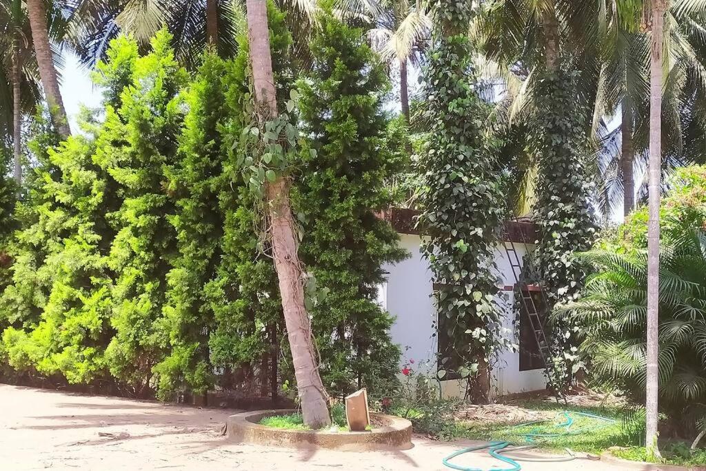 Runnin Airport - Homestay Gurpur Buitenkant foto