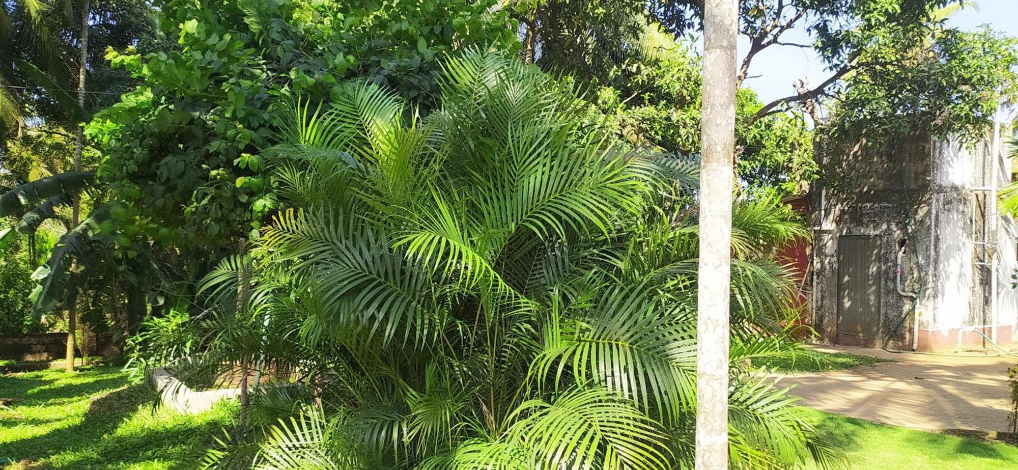 Runnin Airport - Homestay Gurpur Buitenkant foto